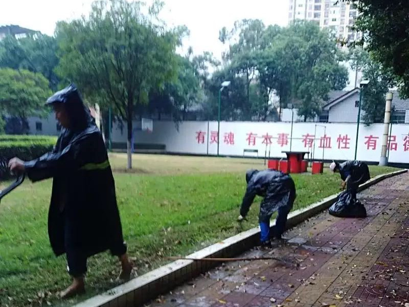 無懼風雨，信泰為您守護