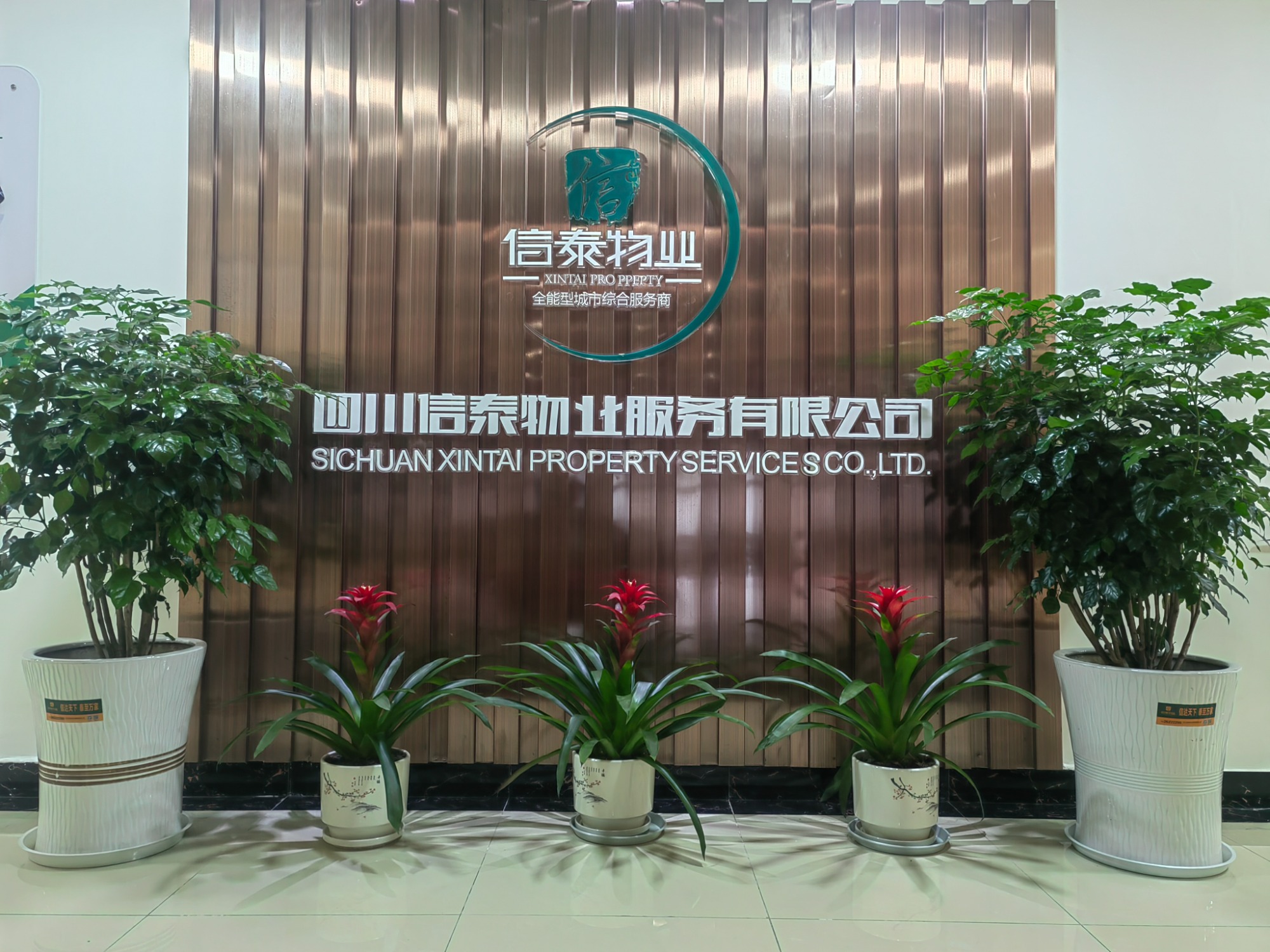 廣元市旺蒼縣住房和城鄉(xiāng)建設局領導一行蒞臨我司考察調(diào)研