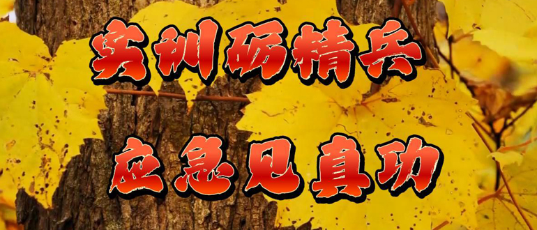 實訓礪精兵 應急見真功